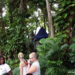 Parrots Parrots